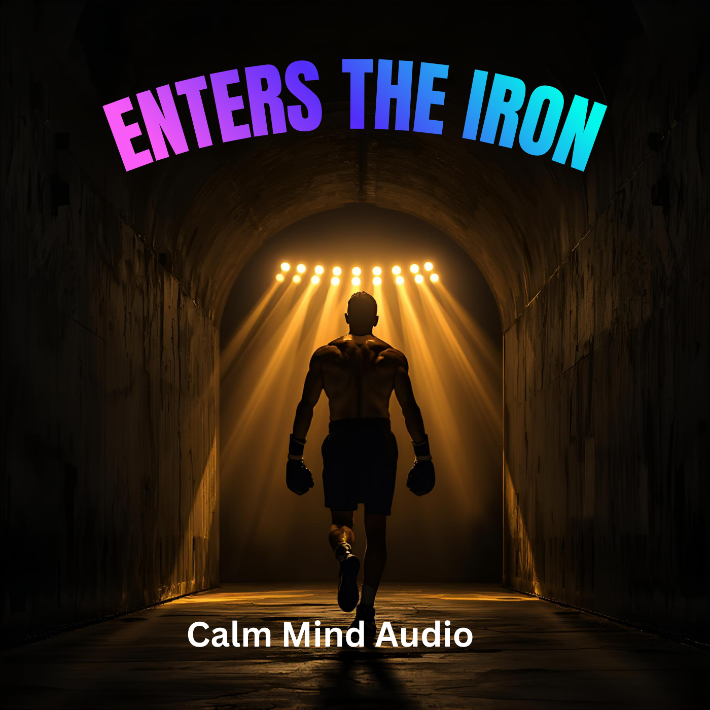 Enters The Iron  Music